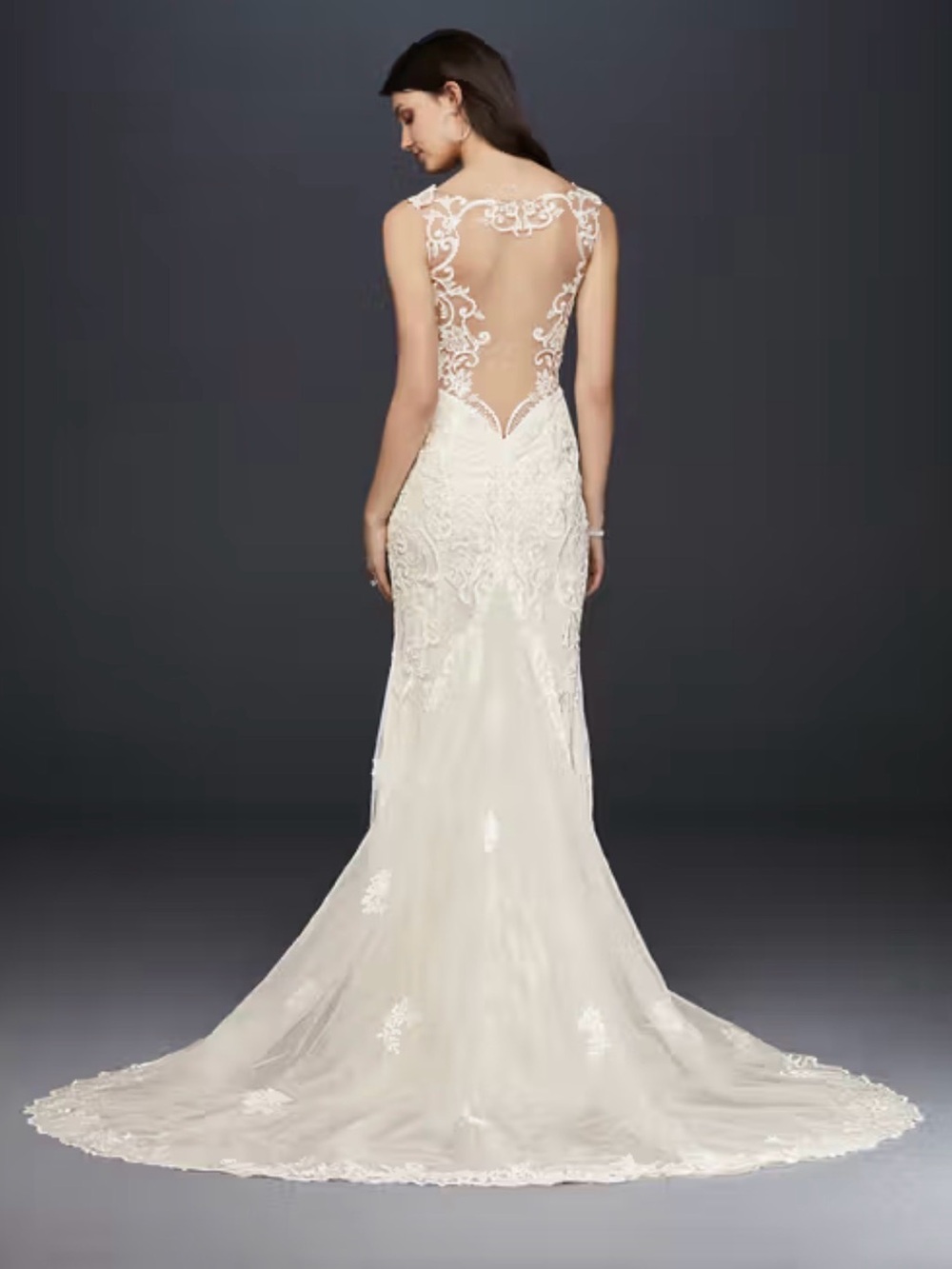 Fit & Flare Lace David’s Bridal Gown Boho Ivory Lace Illusion-Back Bridal Gown